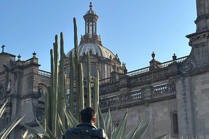 DE Mexico CD Walking Tour with Local Guide and Bilingual - Key Points