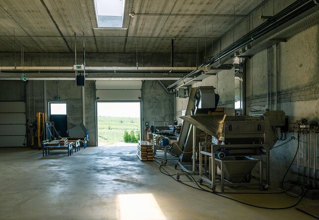 Dealu Mare wine country tour - Lunch Included - An In-depth Look at the Dealu Mare Wine Country Tour