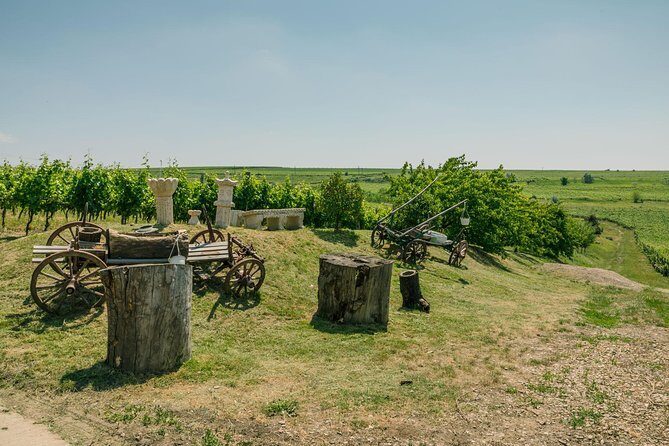 Dealu Mare wine country tour - Lunch Included - Final Thoughts: Is This Tour Right for You?