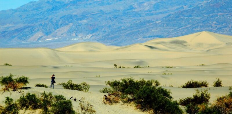 Death Valley: Full-Day Tour from Las Vegas - Key Points