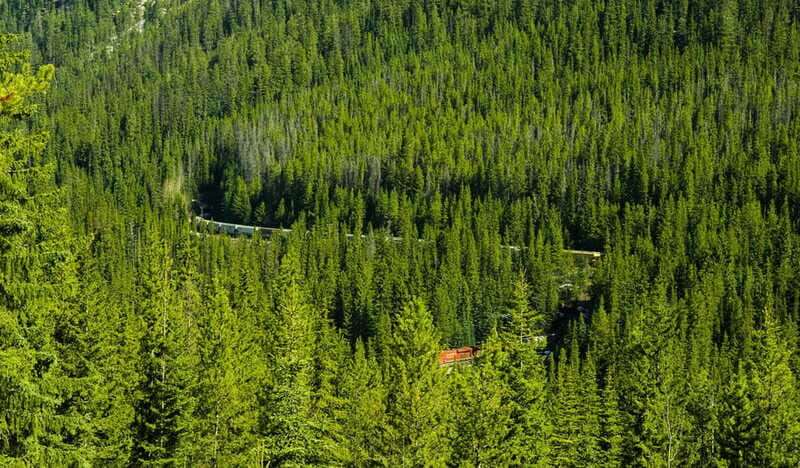 Deep Day Tour to Emerald, Moraine, Louise Lake, J. Canyon... - What the Reviews Say