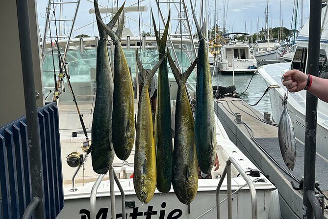 Deep Sea Fishing Charter in Waikiki, Hawaii - What to Expect from a Deep Sea Fishing in Waikiki
