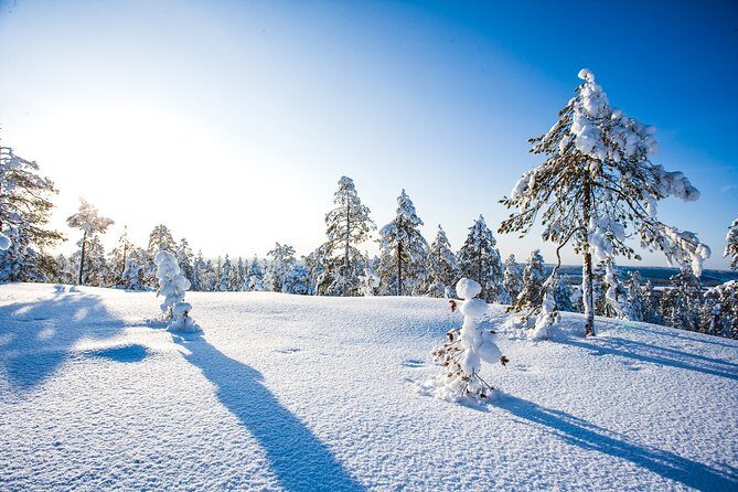 Deep Snow Powder Driving - Who Should Consider This Tour?