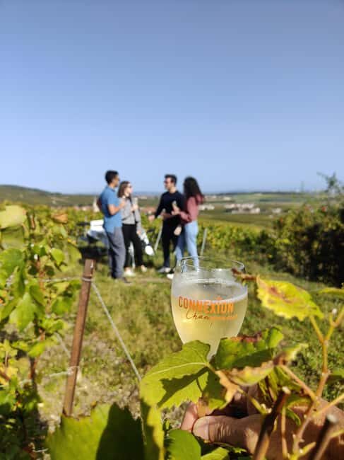 Dégustation de champagne balade panoramique dans les vignes - Key Points