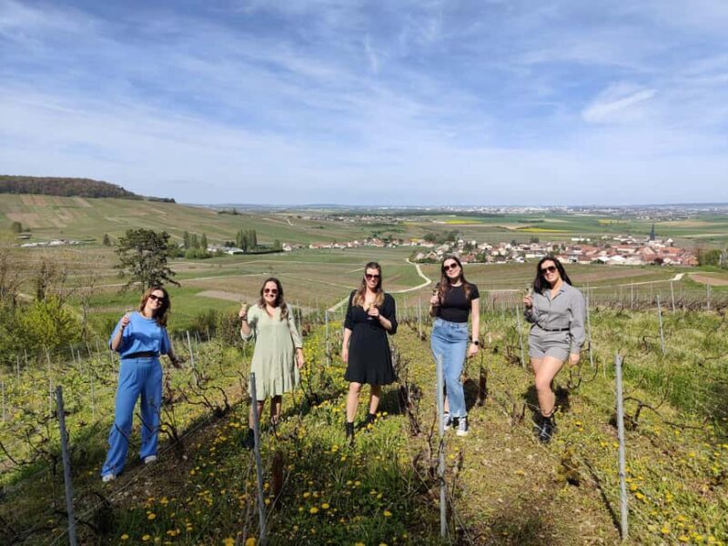 Dégustation de champagne balade panoramique dans les vignes - What to Expect from the Tour