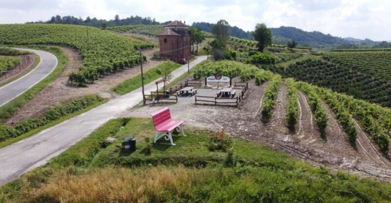 Degustazione di vini del Monferrato con visita della cantina - Key Points