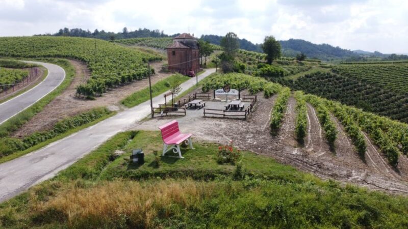Degustazione di vini del Monferrato con visita della cantina - What You Can Expect from the Tour