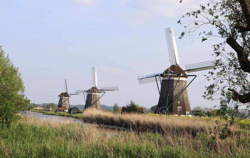 Delft and Volendam: Cheese, Clogs & Windmills (Small Group) - Key Points