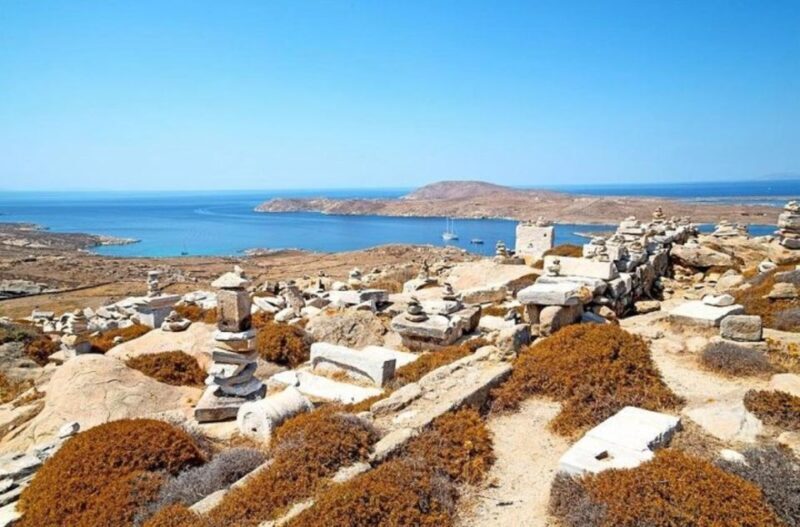 Delos and Mykonos One Day Cruise from Naxos - Exploring the Delos and Mykonos One Day Cruise from Naxos