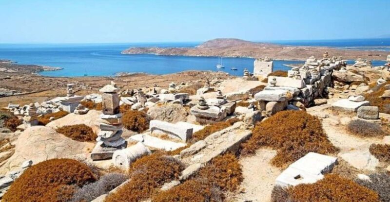 Delos and Mykonos One Day Cruise from Naxos - Key Points