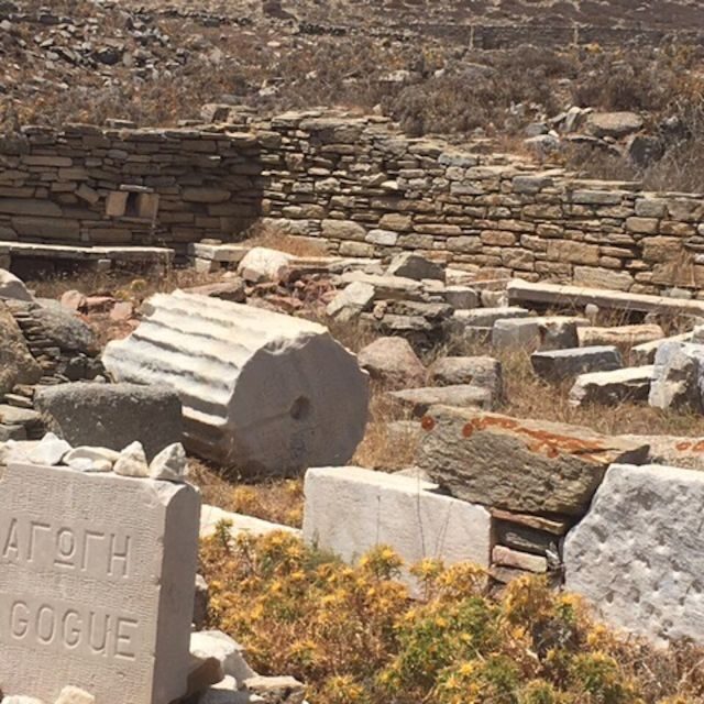 Delos Synagogue: Jewish Heritage Private Tour from Mykonos - Downside Considerations