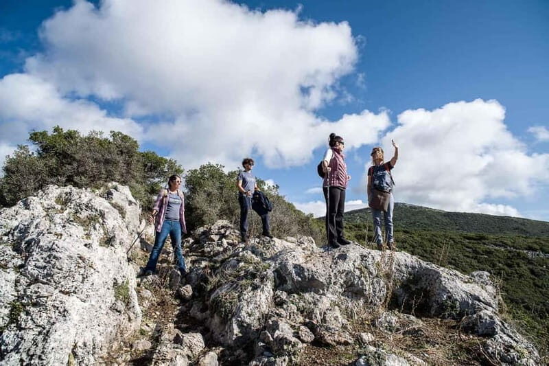 Delphi: Ancient Footpath Guided Hike - An In-Depth Look at the Experience