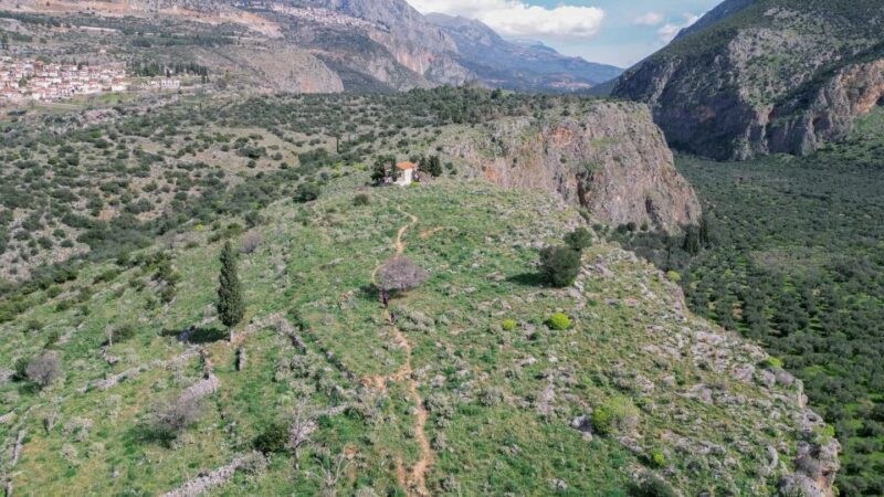 Delphi: Easy Hike on Ancient Path through the Olive Groves - Key Points