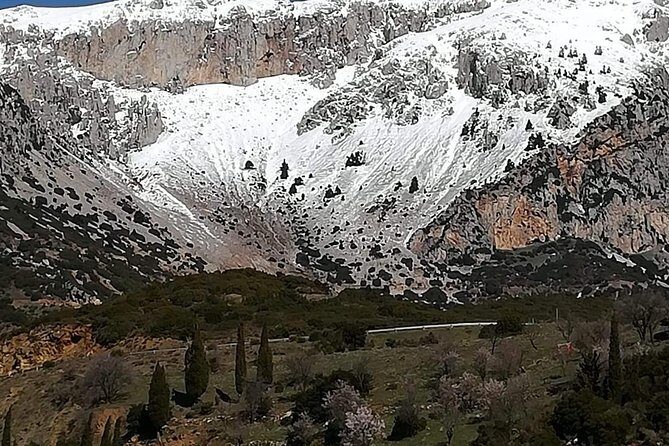 Delphi Full Day Private Tour: Temple of Apollo, Museum, Navel of Earth & Oracle - Final Thoughts