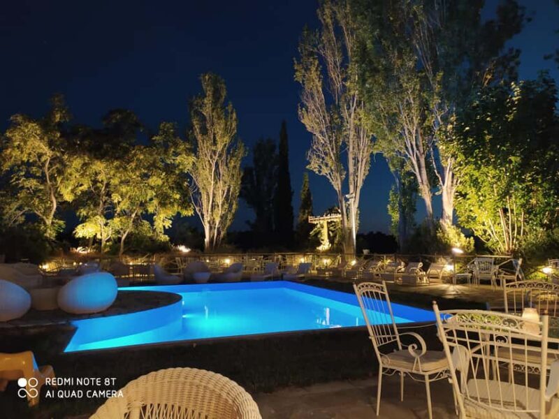 Delphi: Greek Cooking Class with Lunch or Dinner - Key Points