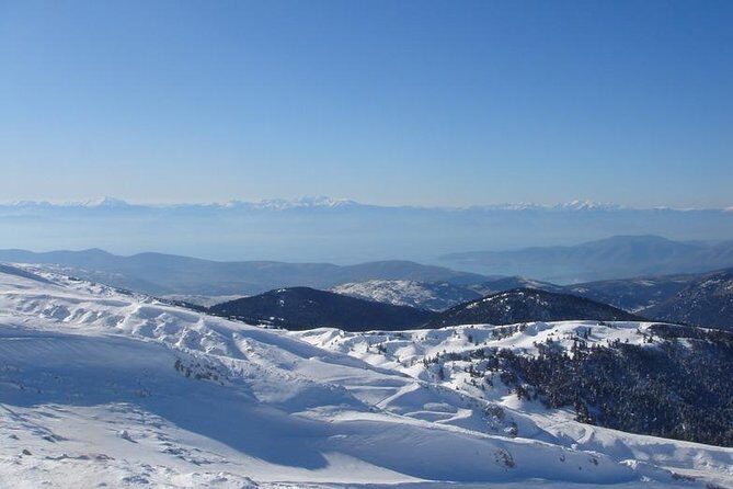 Delphi Private Full-day trip from Athens - The Cost and Value