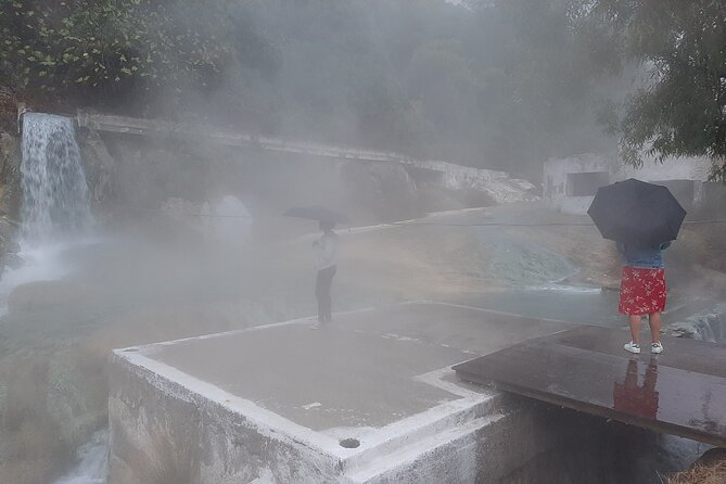Delphi, Thermopylae, Corycian Cave 300 Spartans Tour - Lunch in the olive-valley region: homemade bread and a view you’ll remember