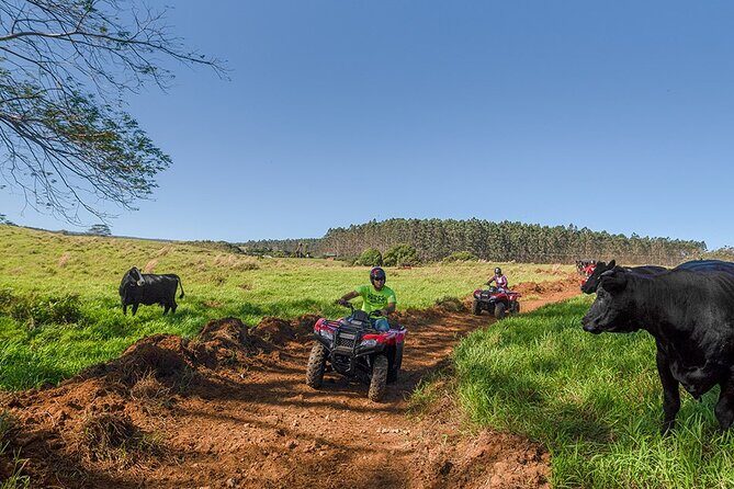 Deluxe ATV Waterfall and Swim Experience - FAQs