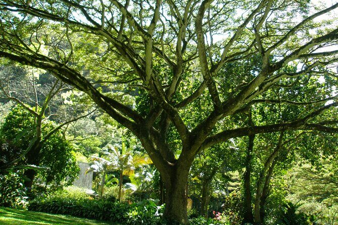 Deluxe North Shore Adventure from Ko Olina - FAQs