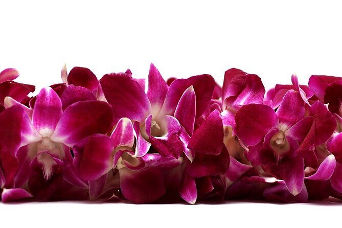 Deluxe Orchid Lei Greeting (Maui, Kahului Airport, OGG) - Key Points