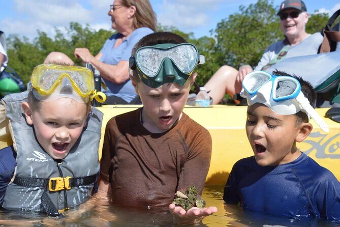 Deluxe Pedal Kayak Tour Marco Island and Naples, Florida - Key Points