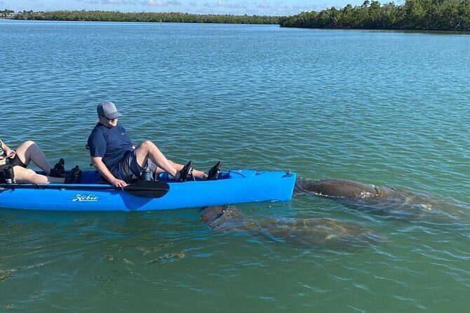 Deluxe Pedal Kayak Tour Marco Island and Naples, Florida - The Experience: What You Can Expect on the Tour