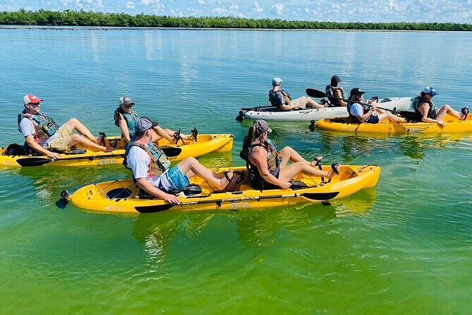 Deluxe Pedal Kayak Tour Marco Island and Naples, Florida - Final Thoughts