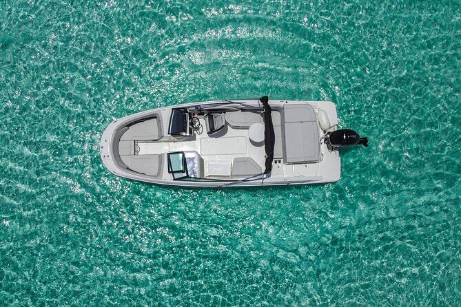 Deluxe Private Boats - 24 ft Sea Ray - The Experience in Action: What Travelers Say