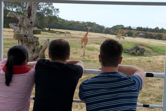 Deluxe Safari Adventure at Werribee Open Range Zoo - excl. entry - Final Thoughts: Is It Worth It?