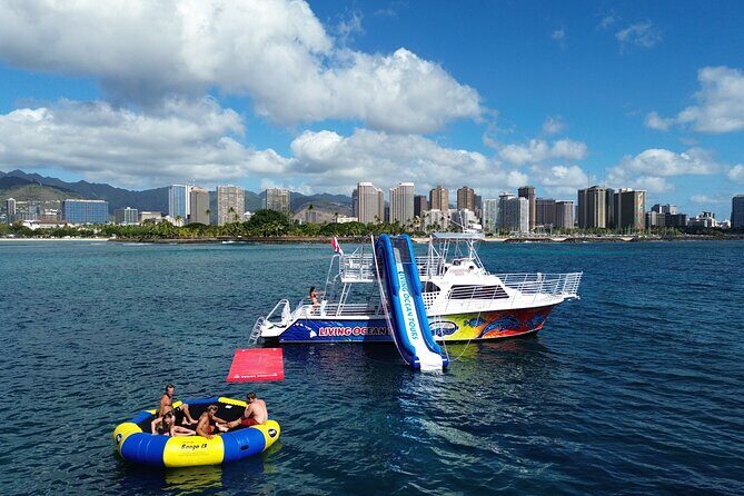 Deluxe Snorkel and Wildlife Cruise in Waikiki - The Value for Money