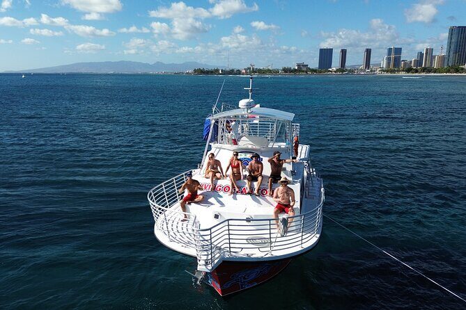 Deluxe Snorkel and Wildlife Cruise in Waikiki - Wrapping It Up