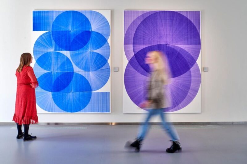 Den Bosch: Het Noordbrabants Museum Entry Ticket - Accessibility and Practicalities