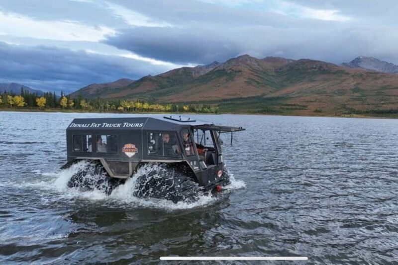 Denali: 3 Hour Fat Truck/SHERP Off-Road Adventure - Key Points