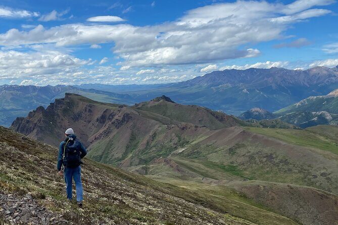 Denali 4 Hour Hiking Adventure with Naturalist Guide - An In-Depth Look at the Experience