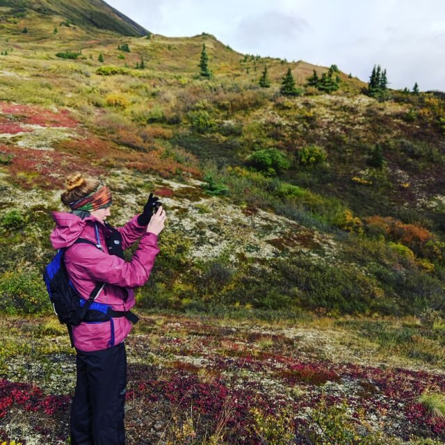 Denali: 5-Hour Guided Wilderness Hiking Tour - Key Points