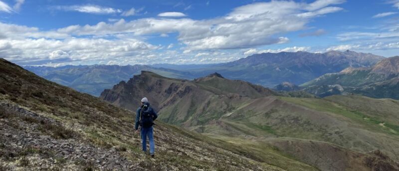 Denali: Denali National Park Walking Tour - Key Points