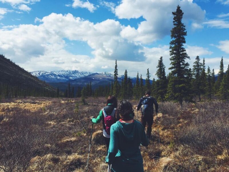 Denali: Denali National Park Walking Tour - FAQ