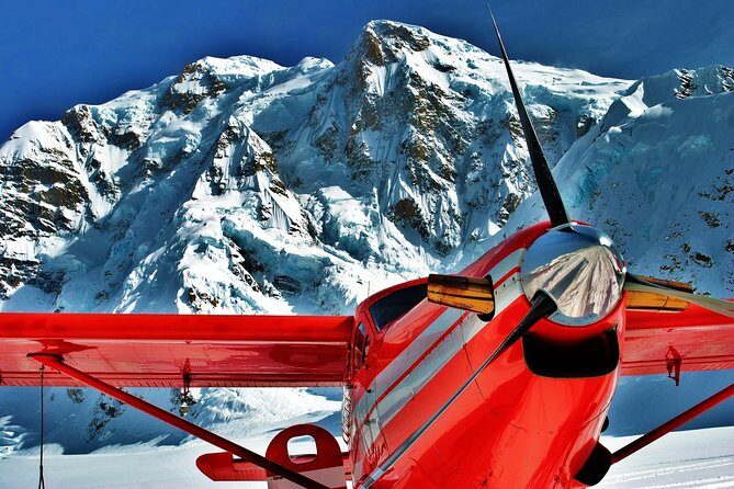 Denali Experience Flightseeing Tour from Talkeetna - How This Tour Compares