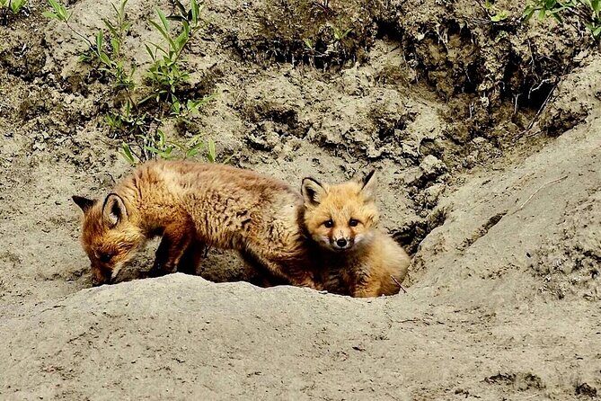 Denali Highway Overnight Excursion - FAQ