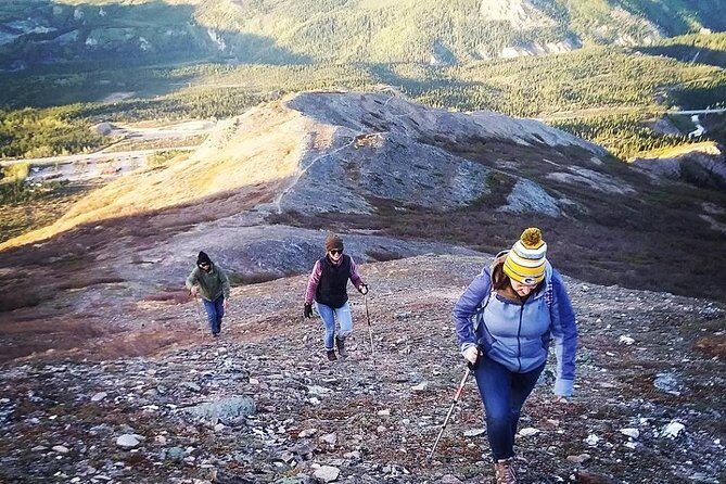 Denali Hiking Tour - An In-Depth Look at the Denali Hiking Tour