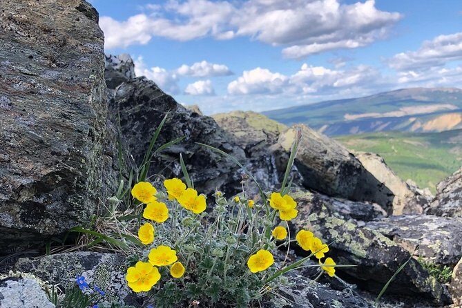 Denali Hiking Tour - Final Thoughts