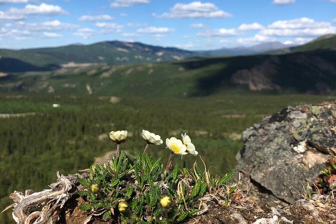 Denali Hiking Tour - Who Should Book?