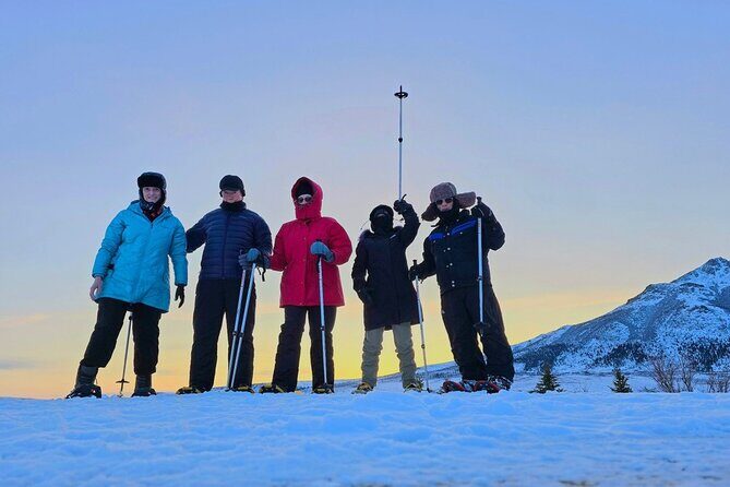 Denali National Park plus Aurora Chase Tour - What Past Travelers Say