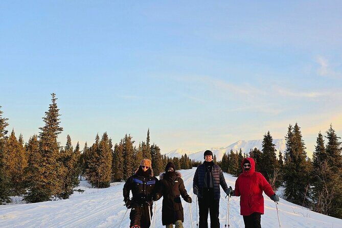 Denali National Park plus Aurora Chase Tour - Who Should Consider This Tour?