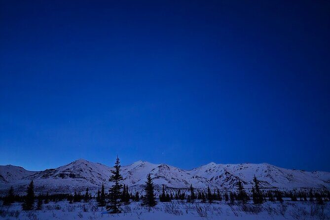 Denali National Park plus Aurora Chase Tour - Frequently Asked Questions