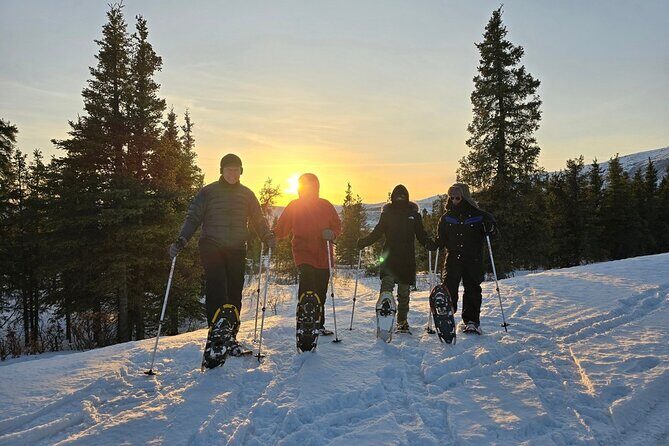 Denali National Park plus Aurora Chase Tour - Final Thoughts