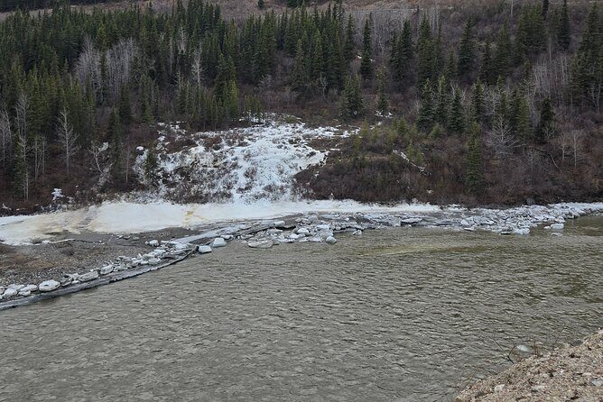 Denali National Park Shuttle - The Experience in Detail
