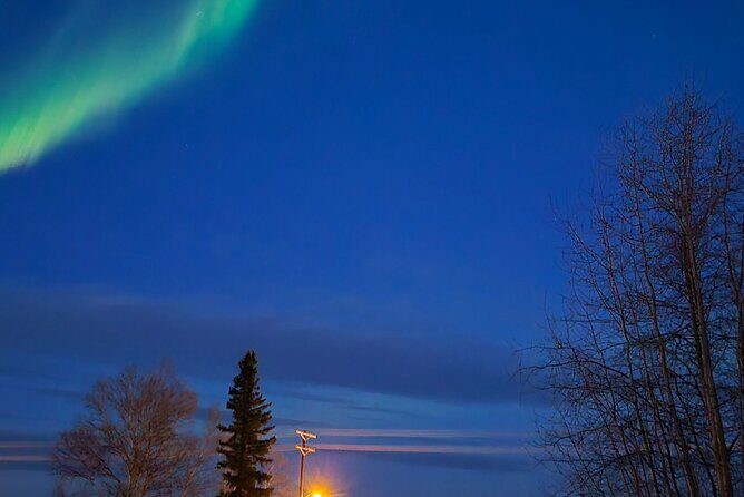 Denali National Park Shuttle - Frequently Asked Questions