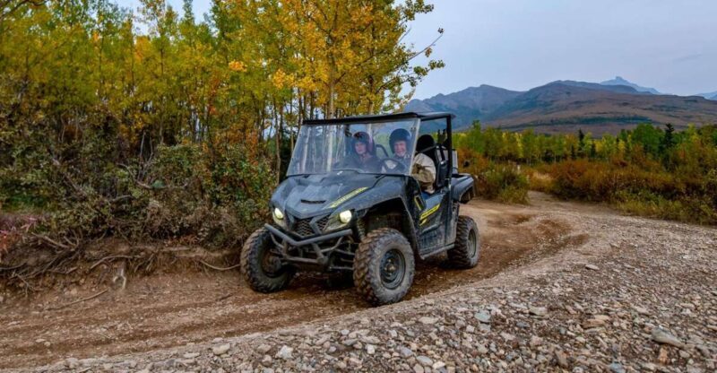 Denali National Park: Wilderness ATV Adventure - Key Points