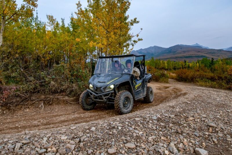 Denali National Park: Wilderness ATV Adventure - Authentic Traveler Voices